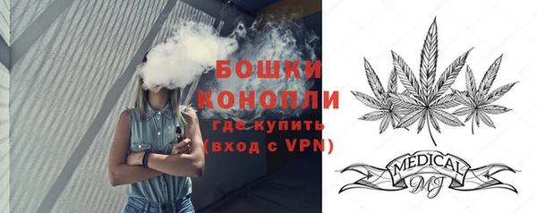 хмурый Арсеньев