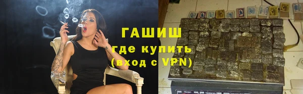 хмурый Арсеньев