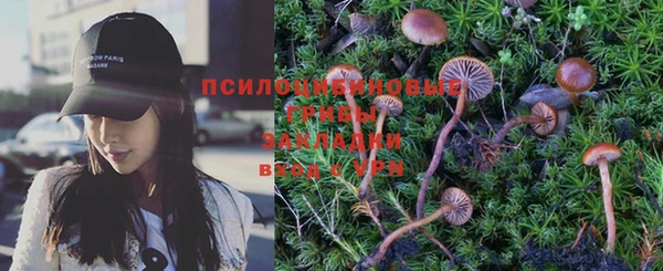 apvp Осинники