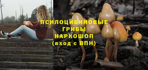 каннабис Баксан