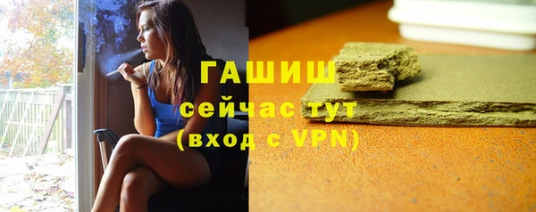 хмурый Арсеньев