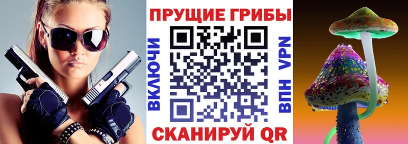 Псилоцибиновые грибы GOLDEN TEACHER  Сланцы 