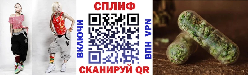 купить наркотики цена  Сланцы  Шишки марихуана THC 21% 